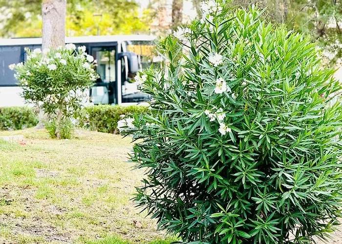 Amazing Space - 4 Bedroom Appartement Albufeira