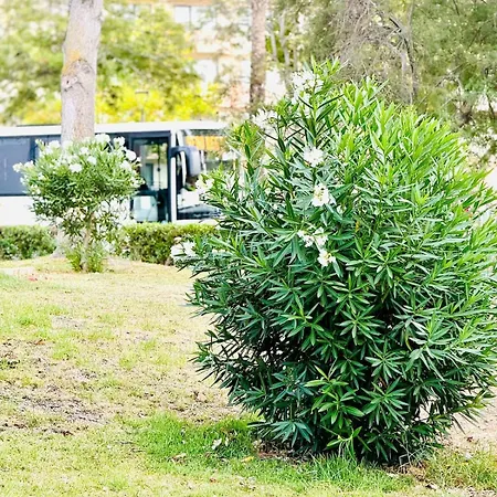 Amazing Space - 4 Bedroom Apartment Albufeira